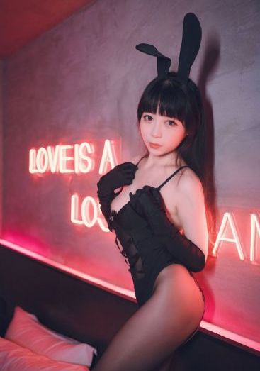 啄木鸟系列在线