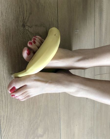 玫瑰之战电视剧免费全集在线观看