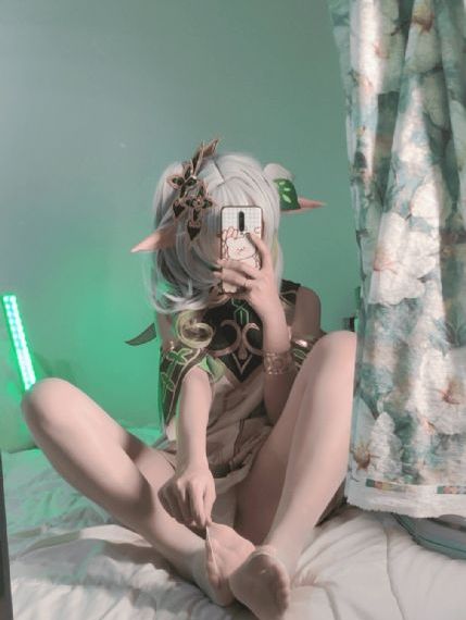 金鸡1