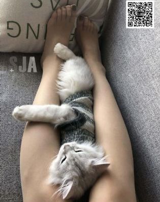 97看片吧