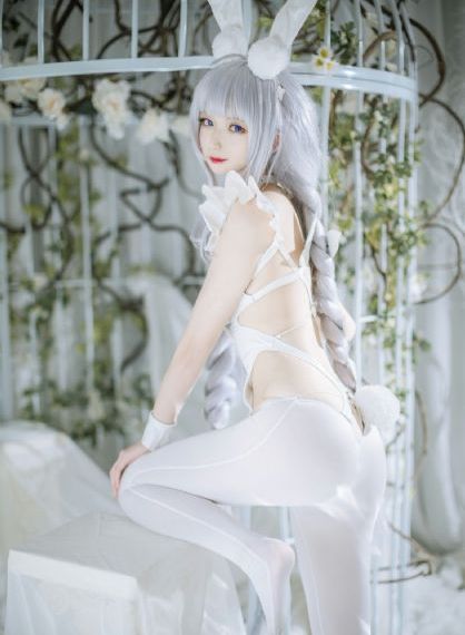 花房姑娘电视剧免费播放在线观看