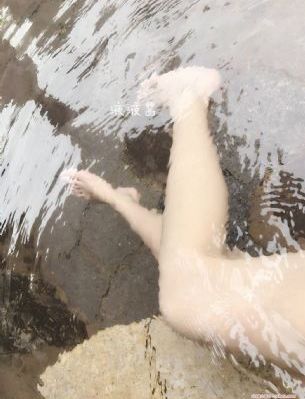 免费电视剧大全
