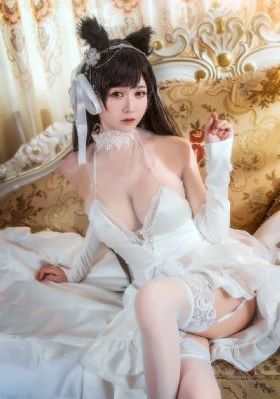 我哥哥的女朋友电视剧免费的